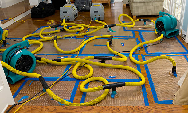 Professional Basement Flood Cleanup technician working in Cibolo, TX
